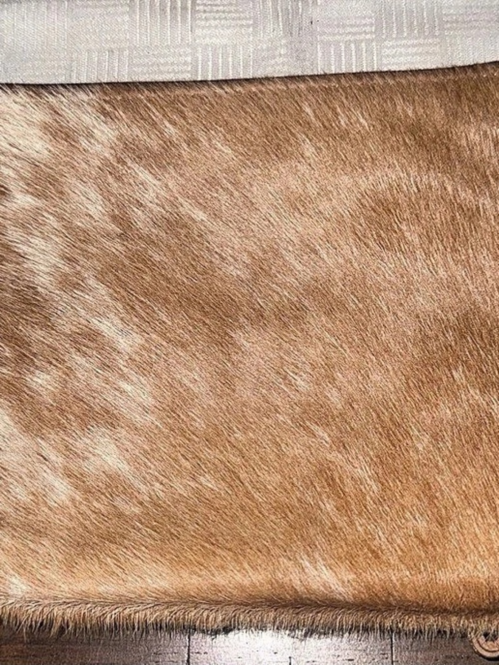 Myra Bag Hair-On Hide Wristlet Clutch in Brown & White